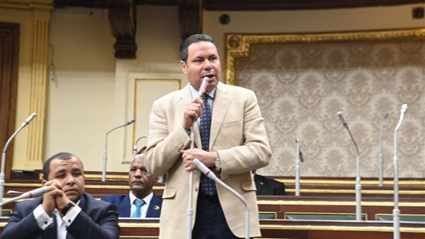  النائب هشام الحصرى