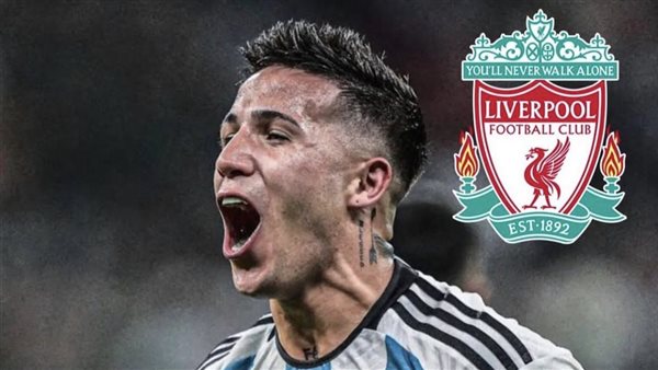 إنزو فيرنانديز 