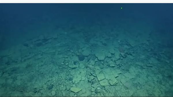 طريق مرصوف في قاع