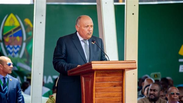 وزير الخارجية يلقي