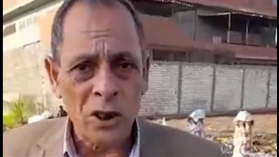 بمساحة 1200 فدان.. بدء موسم حصاد القلقاس بالشرقية| بث مباشر 