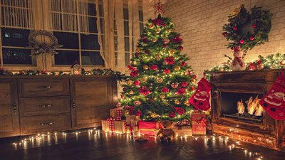 رئيس الجالية المصرية بألمانيا: نقدم التهنئة لأصدقائنا وجيراننا بالكريسماس.. ونستغل المناسبات الدينية لتوعية الأجيال