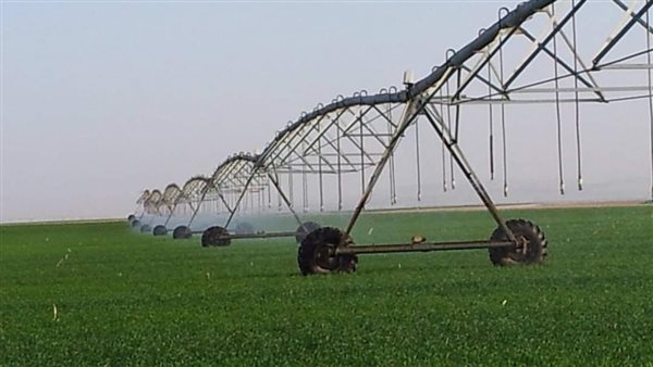 الزراعة في مصر