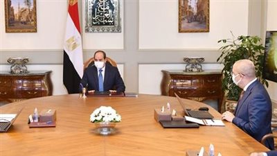 السيسي يطلع على نتائج زيارة الوفد الوزاري إلى تنزانيا بشأن سد جوليوس نيريري