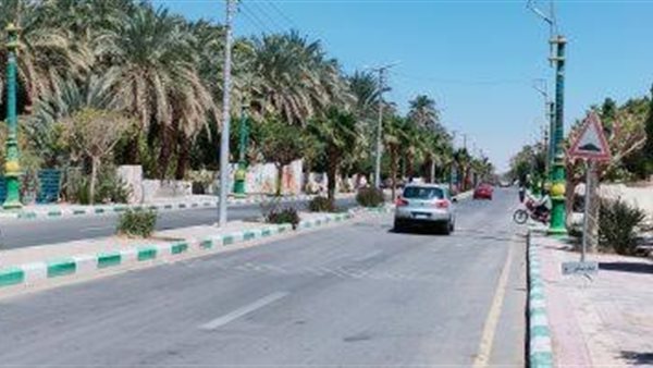 الوادي الجديد