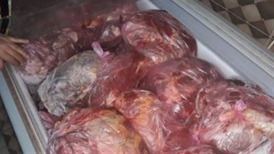 تضم سلعا غذائية ولحوما.. الحكومة تُفرج عن بضائع الأسبوع الماضي بقيمة 300 مليون دولار | بث مباشر