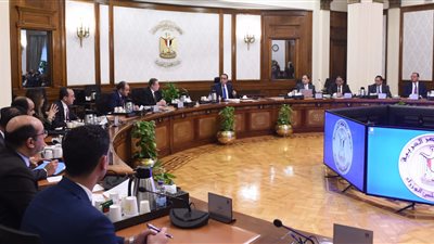 رئيس الوزراء: الأولوية في الإفراج عن البضائع ستكون للسلع الغذائية ومكونات التصنيع الغذائي والأدوية