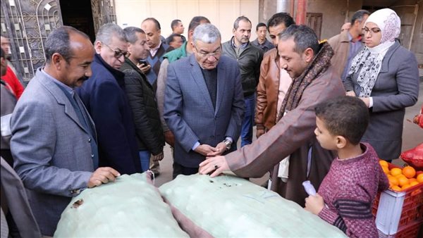 محافظ المنيا 