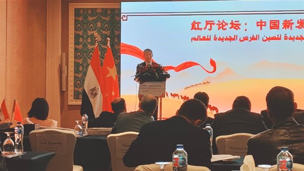 السفير الصيني بالقاهرة