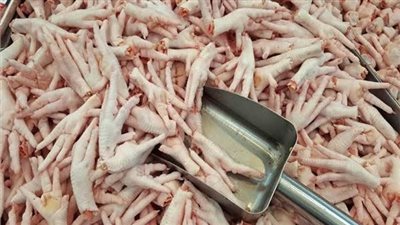 الإقبال على رجول الفراخ تاريخي.. وصاحب محل: مش ملاحقين والناس بتطلبها أكتر من البانيه | بث مباشر