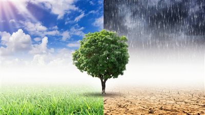 تغير المناخ يدمر الحياة البرية في بريطانيا | دراسة 