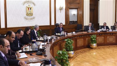رئيس الوزراء: تدبير الخامات لمصانع الأدوية بصورة مستمرة وتعزيز عملية تصنيعها محليًا
