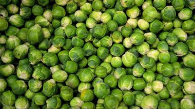 دراسة: تناول كرنب بروكسل يساهم في الوقاية من السرطان