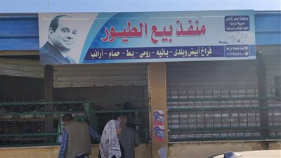  زراعة البحر الأحمر تضخ كميات من السلع الأساسية بأسعار مخفضة للمواطنين استعدادا لرأس السنة| صور