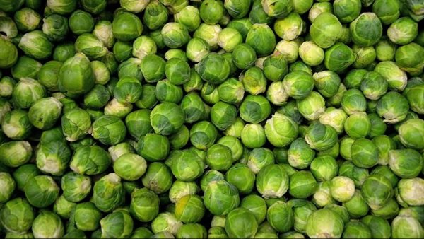 كرنب بروكسل