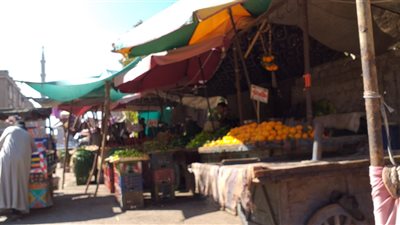 الطماطم بـ8 جنيهات.. ارتفاع نسبي في أسعار الخضروات والفواكه بأسواق سوهاج