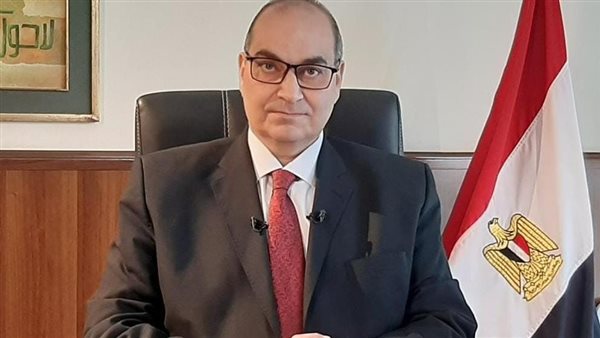 الدكتور محمد فوزي