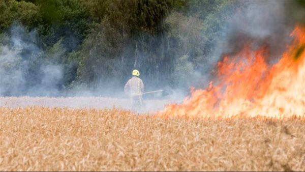 حرائق الغابات في