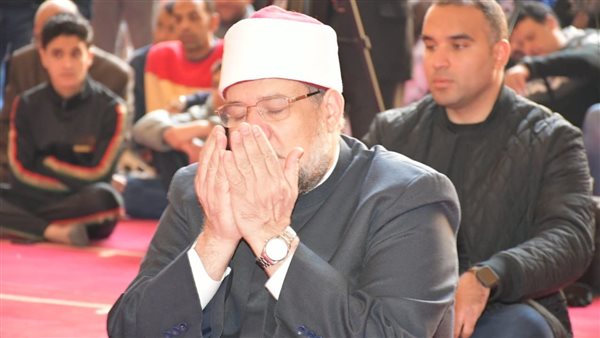 الدكتور محمد مختار