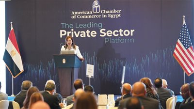 حصاد التخطيط 2022| مبادرات المشروعات الخضراء وإدراج خطة المواطن ورفع الحد الأدنى للأجور بالقطاع الخاص 