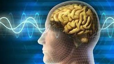 الاعتلال الدماغي الكبدي.. تعرف على تأثير الكبد الدهني على المخ