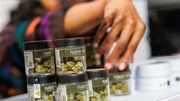 الماريجوانا