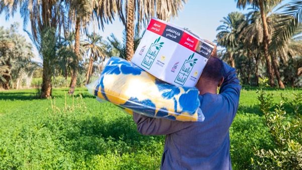 جهود صندوق تحيا مصر