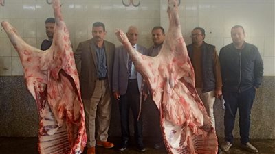 ضبط 260 كيلو لحوم مذبوحة خارج المجازر الحكومية بالبحيرة