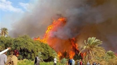 السيطرة على حريق بالوادي الجديد بعد تفحم 200 نخلة واستدعاء 25 سيارة إطفاء 