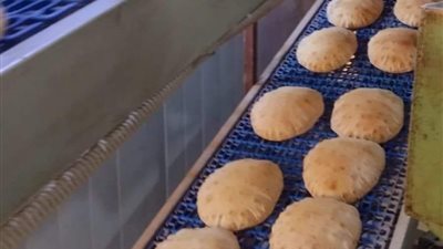 ضبط 104 مخالفات تموينية في حملات على الأسواق والمخابز بالدقهلية