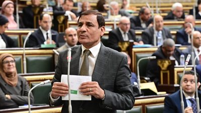  برلماني يتساءل حول عدم تقديم مناقصات عالمية حول تطوير الموانئ المصرية: لماذا يتم الإسناد بالأمر المباشر؟