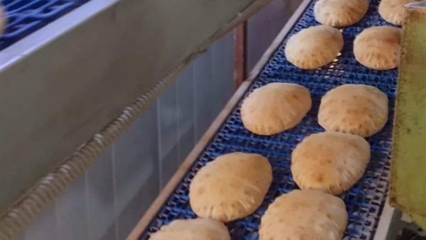 جانب من الحملة 