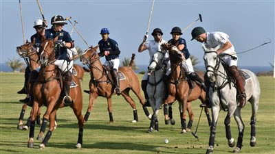 ختام فعاليات مهرجان السياحة الرياضية بمرسى علم جنوب البحر الأحمر | صور