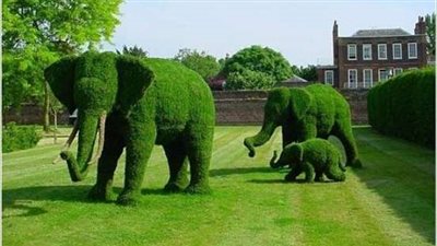 الإفتاء: قص الأشجار على هيئة إنسان أو حيوان جائز شرعا