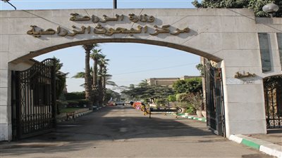 معهد بحوث تكنولوجيا الأغذية: إنتاج 22 ألف كيلو مربى و32 ألف رغيف بلدي خلال 2022 