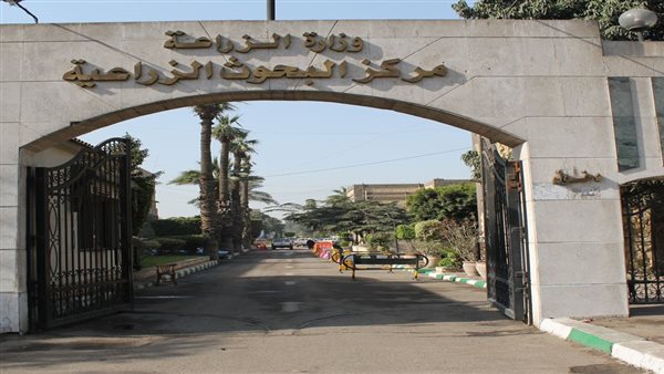 معهد بحوث تكنولوجيا