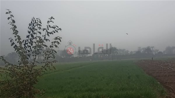 سماء بني سويف 