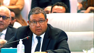 وزير التعاون الدولي الأسبق: لدينا مناخ جاذب للاستثمار ولا يجب دخول الدولة في منافسة مع القطاع الخاص