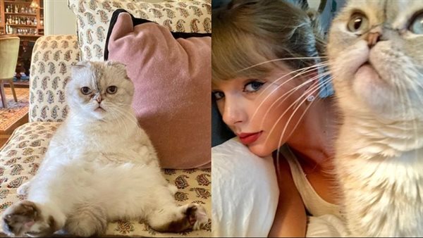 تايلور سويفت رفقة