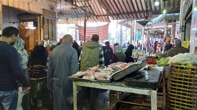 الكيلو بـ60 جنيهًا.. ارتفاع ملحوظ في أسعار الدواجن بشمال سيناء