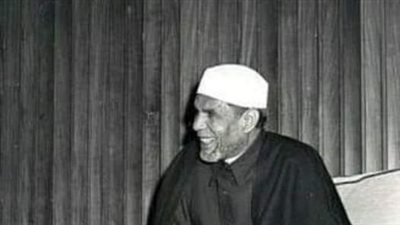  مظهر شاهين لـ مهاجمي الشيخ الشعراوي: شُعلة الإسلام لا يطفئها زفير الأفاعي