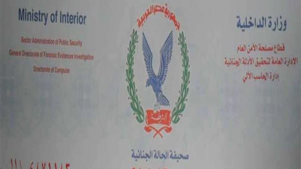 صحيفة الحالة الجنائية