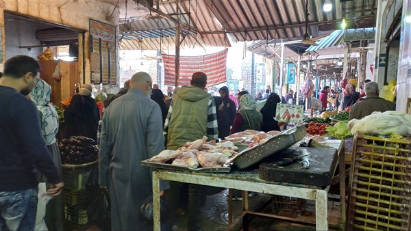 أسواق العريش 