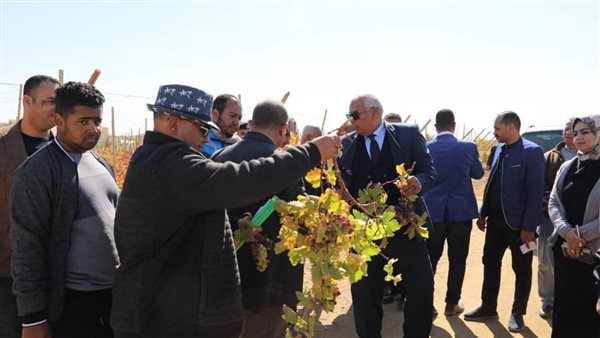 محافظ الوادي الجديد