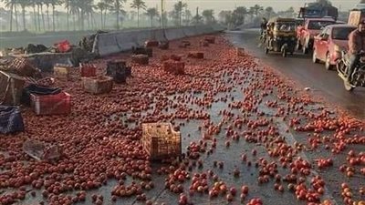 مصرع سائق في انقلاب سيارة نقل محملة بالطماطم على طريق جمصة