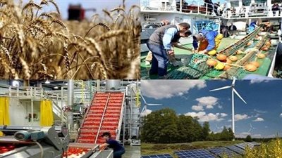 خبير: الدولة تستهدف زيادة حجم مساهمة القطاع الخاص في الاقتصاد الوطني لـ60%