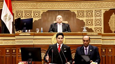 أبوهشيمة يوصي الحكومة بتوفير مجمعات أو أماكن مرخصة لـ 5 سنوات لدمج مشروعات القطاع غير الرسمي