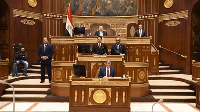 النائب أحمد أبو هشيمة يوصي بإعداد خريطة استثمارية وإنشاء هيئة عليا للقطاع غير الرسمي 