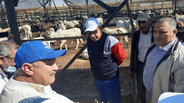 المهندس محمود عصمت