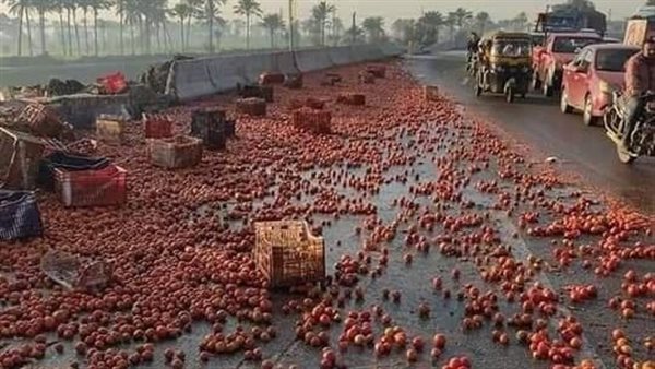 جانب من الحادث 